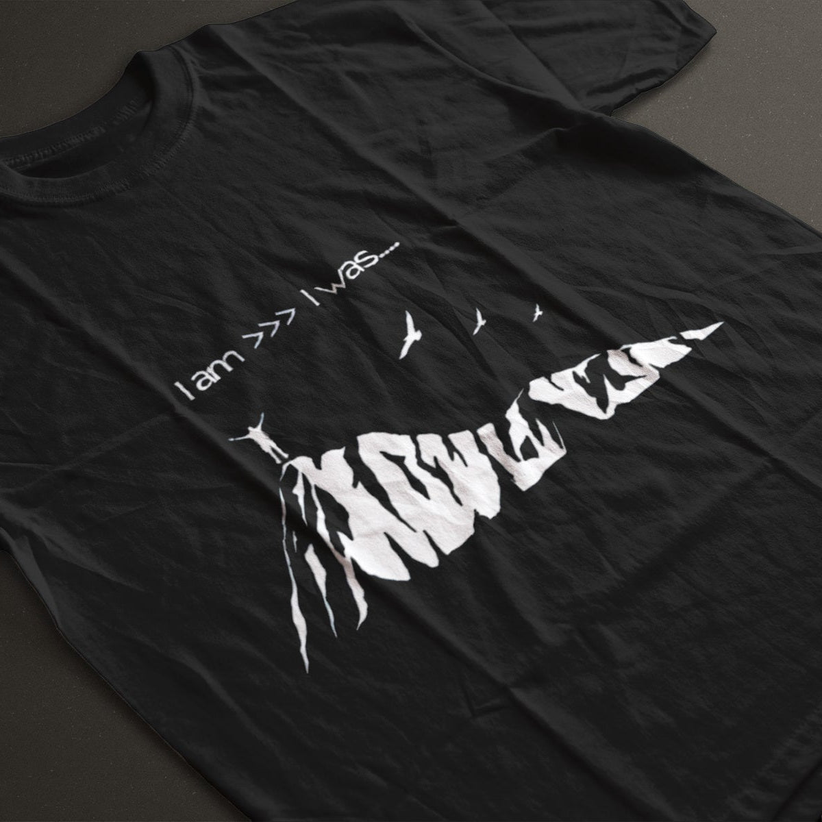 Inspirational quote shirt for men and women “I Am Greater Than I Was”